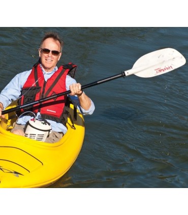 Stroller Companion - Caire Medical